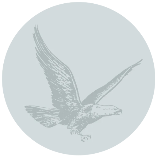 fallback_user_rui_barbosa